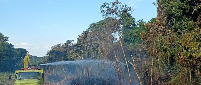 Andresito: Bomberos controlaron un incendio forestal en Paraje La Selva