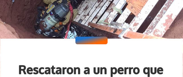 Rescataron a un perro que cayó en un pozo de 8 metros en Campo Grande